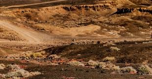 扑克理性玩法总结（理性扑克策略归纳）